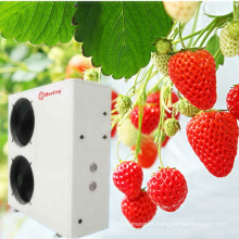 Meeting MD40D High-efficiency  Energy-Saving and Environment-Friendly Heating Heat Pump for Strawberry Planting